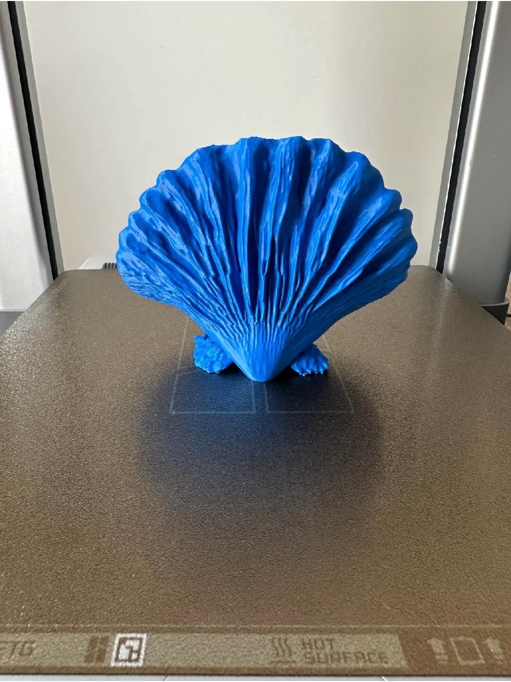 Blue Shell Decorative Sculpture - Home Art